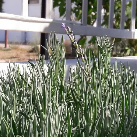 Apartment Apartments Nika Vodice