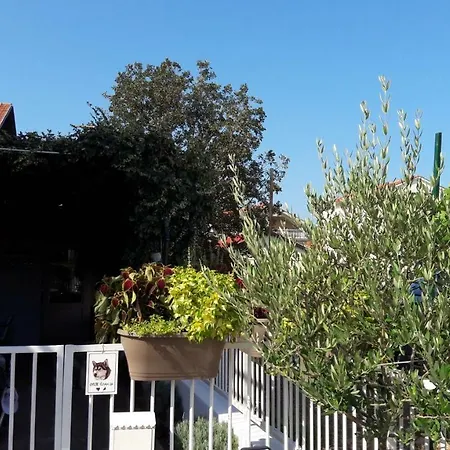 Apartments Nika * Vodice