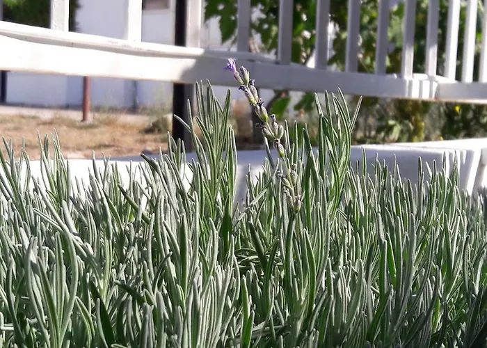 Apartamento Nika Vodice